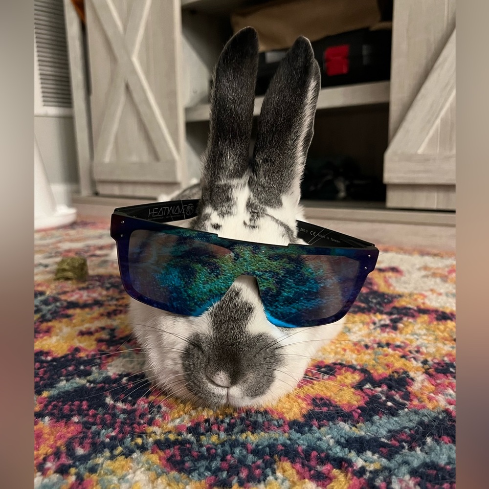 😎